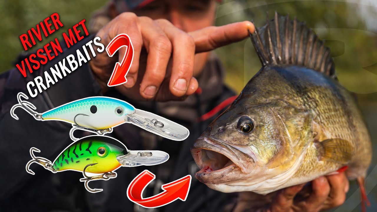 Met Crankbaits Op De Rivier - Mark Verhoeven | Roofvissen