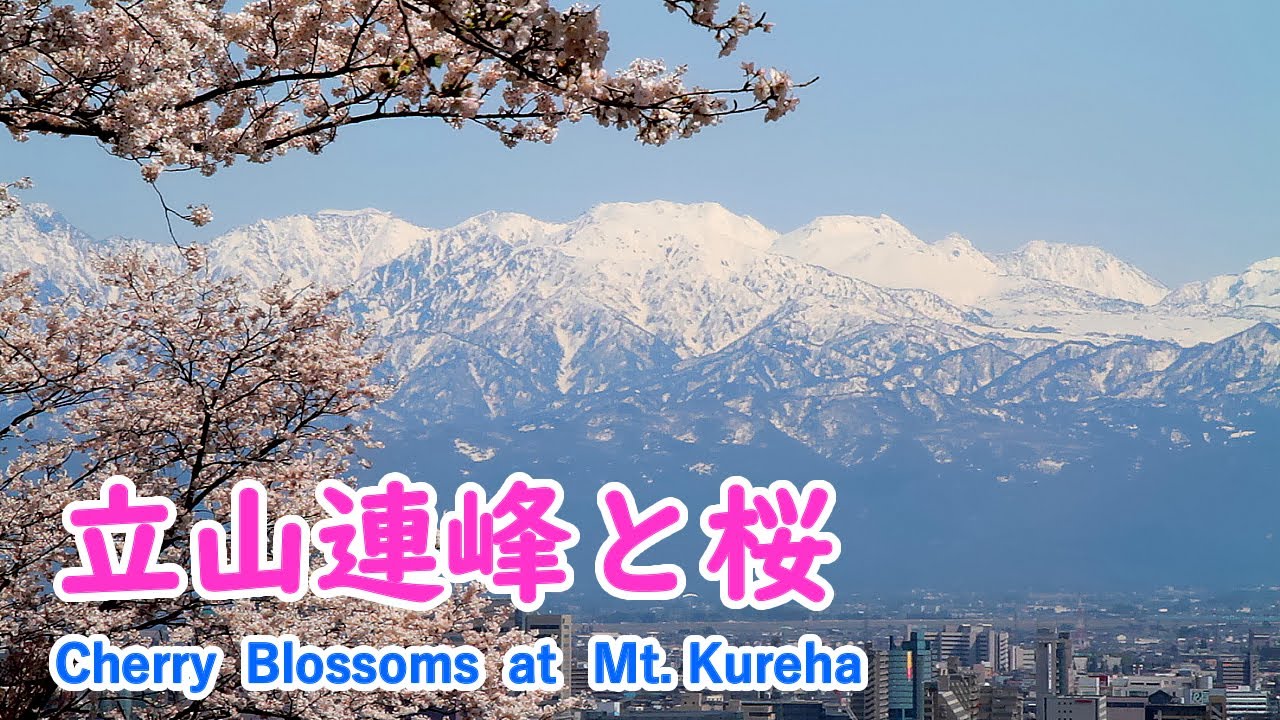 桜絶景！ 呉羽山公園と立山連峰 / 松川公園と富山城 ( ヒーリング音楽 )  / Cherry Blossoms at Mt. Kureha ( Toyama, Japan )【日本の桜名所】