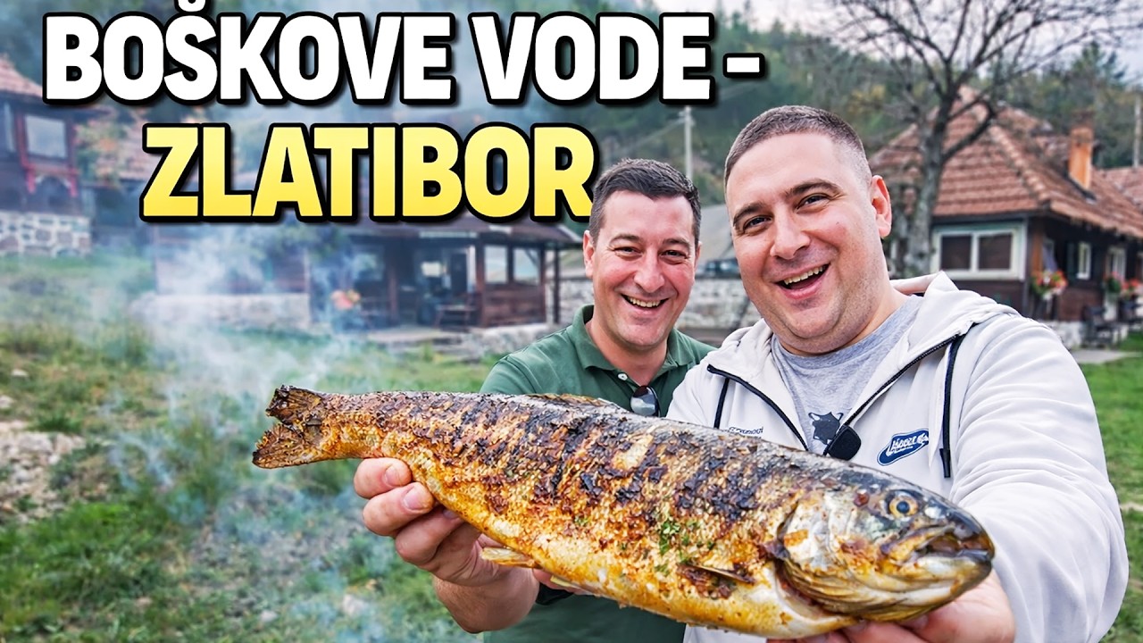 pronašli smo raj na Zlatiboru! Boškova voda, najbolja pastrmka i teletina ispod sača!