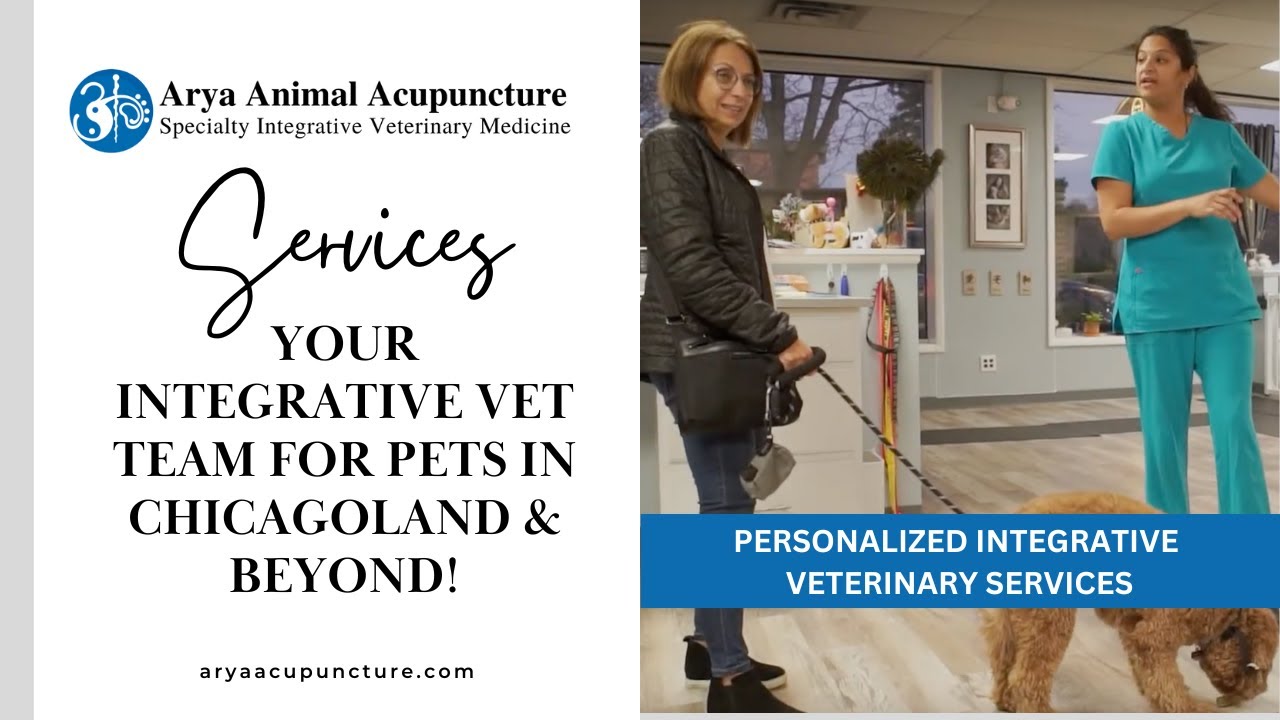 Arya Animal Acupuncture, Glenview IL - Top Integrative Veterinary Clinic in the Chicago Area