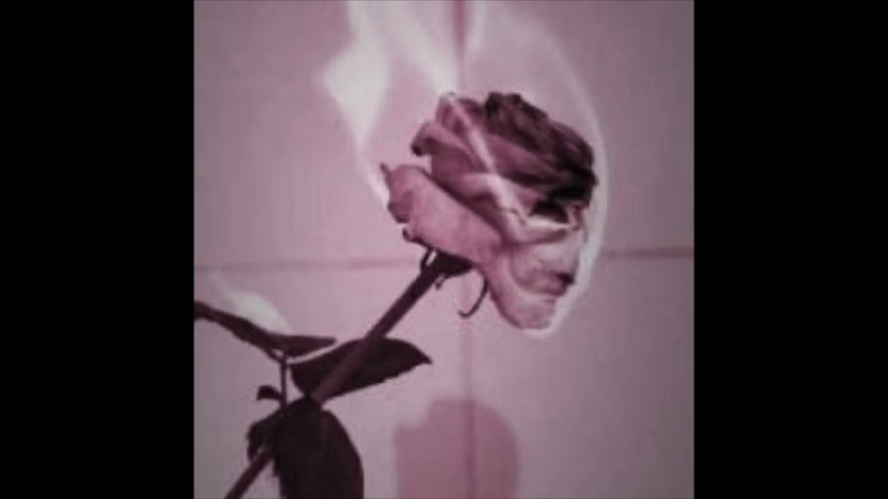 darci - toss up [instrumental]