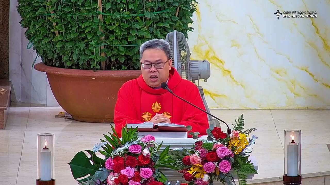 Bài Giảng Cha Phaolo Martino Trần Hoàng Khoa Nam || Thứ Sáu IV Thường Niên Năm A || 06.02.2026.