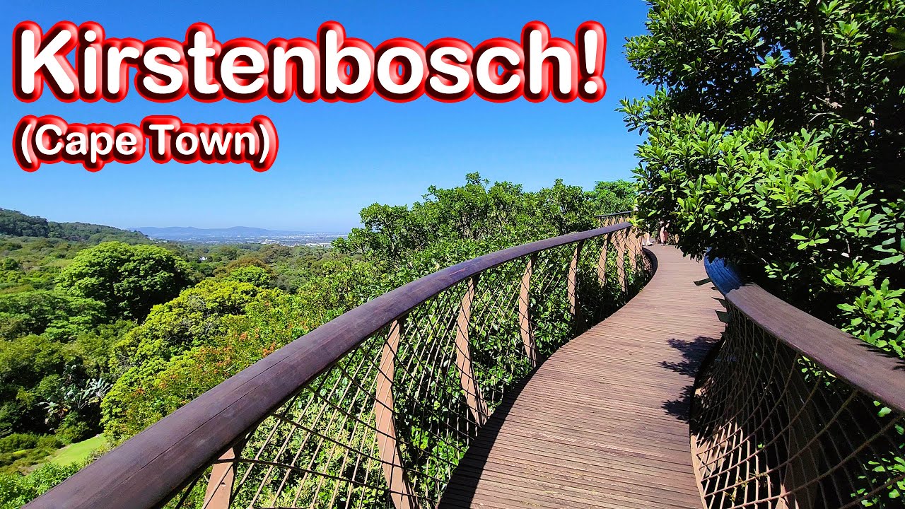 Kirstenbosch National Botanical Garden – At the Foot of Table Mountain! Ep 252