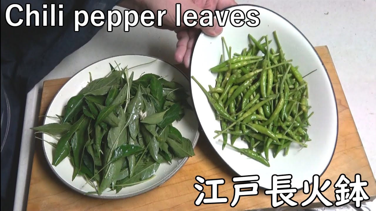 葉唐辛子の佃煮-Chili peppers and leaves boiled down in soy sauce-【Japanese food 江戸長火鉢】
