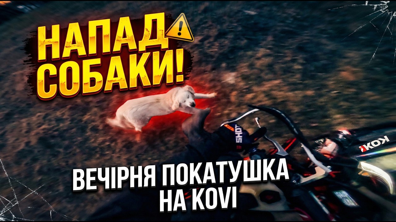 НАПАЛА СОБАКА!? | ГАНЯЮ ПО ЛІСІ ТА ПОЛЯХ НА KOVI LITE 300 KT