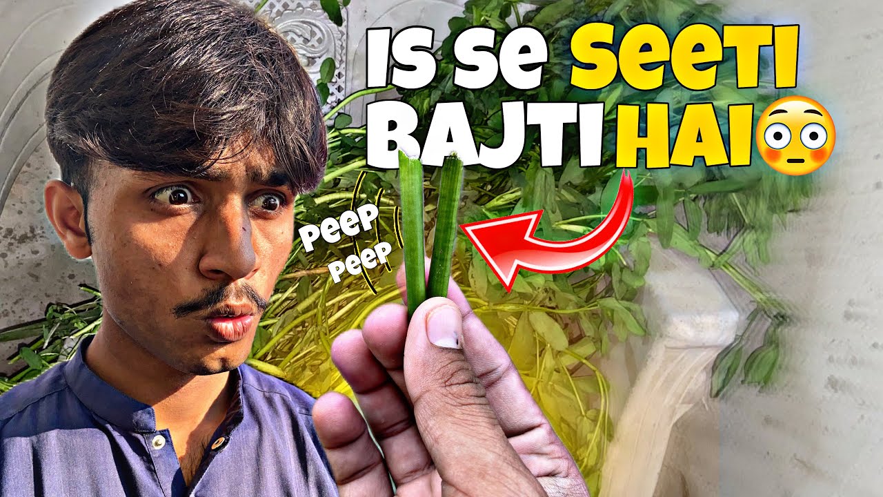 So funny Aisi seeti to pehly bar dhakhi |😅😅|sforshoaib