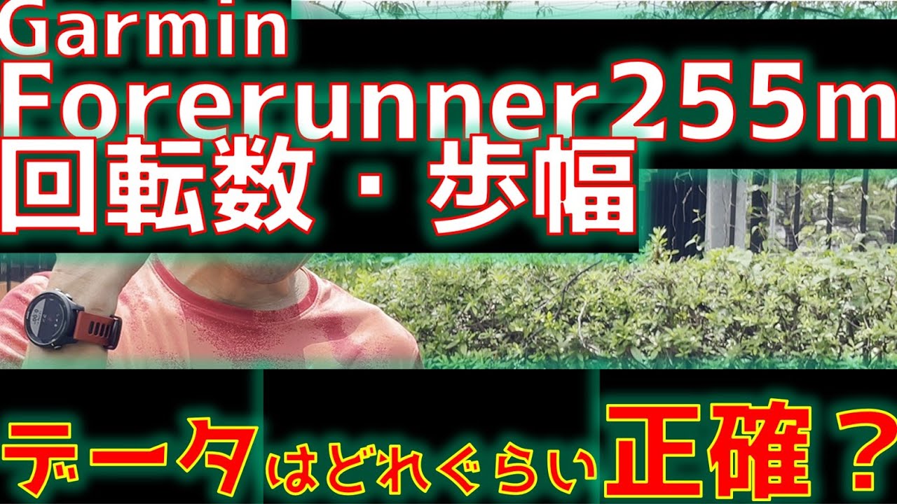 Garmin Forerunner255m 歩数と回転数データはどれぐらい正確？　#garmin #ウォーキング  #garminforerunner