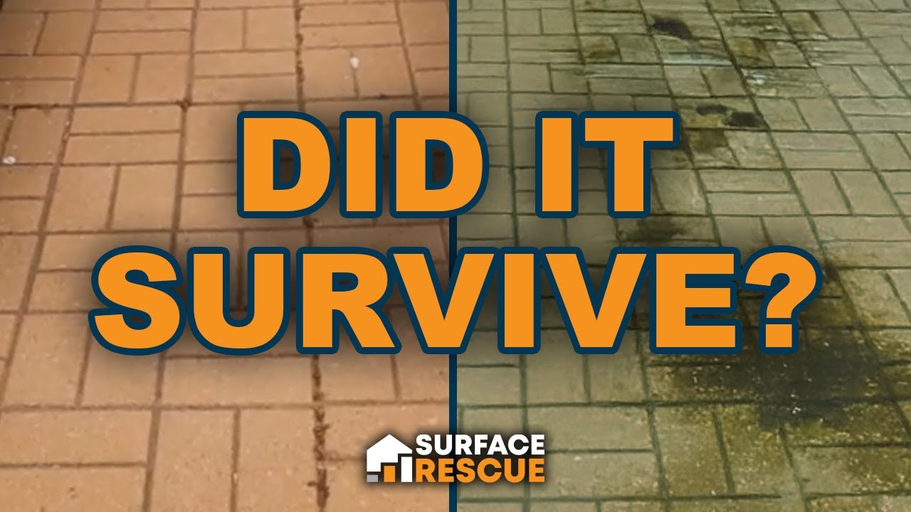 Cleaning Job After 3 YEARS... Did These Pavers Pass the Test of Time?