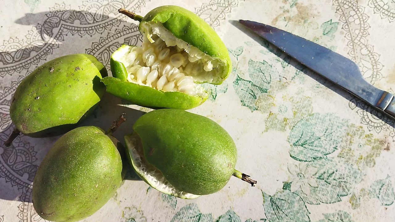 Маракуйя північна.Дегустація.