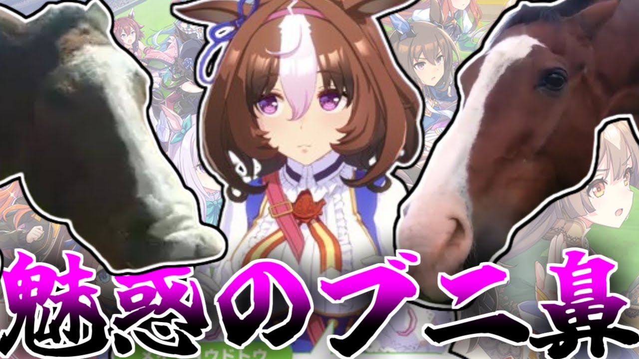 ドットさん今日も今日とて鼻ブニるに対する反応集【ウマ娘の反応集】