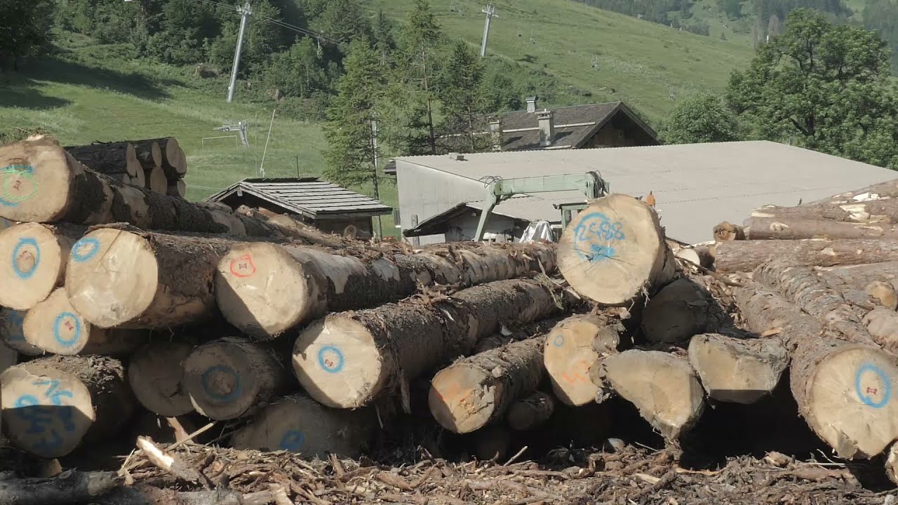 La scierie Agnellet et les tavaillons