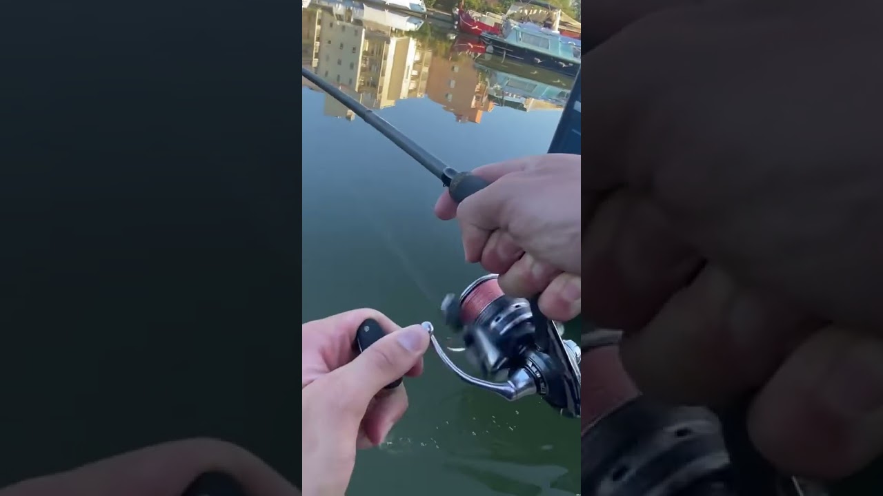 &Eacute;norme sandre au vif ! #p&ecirc;che #fishing #pecheur #pourtoi #p&ecirc;cheur #sandre #zander