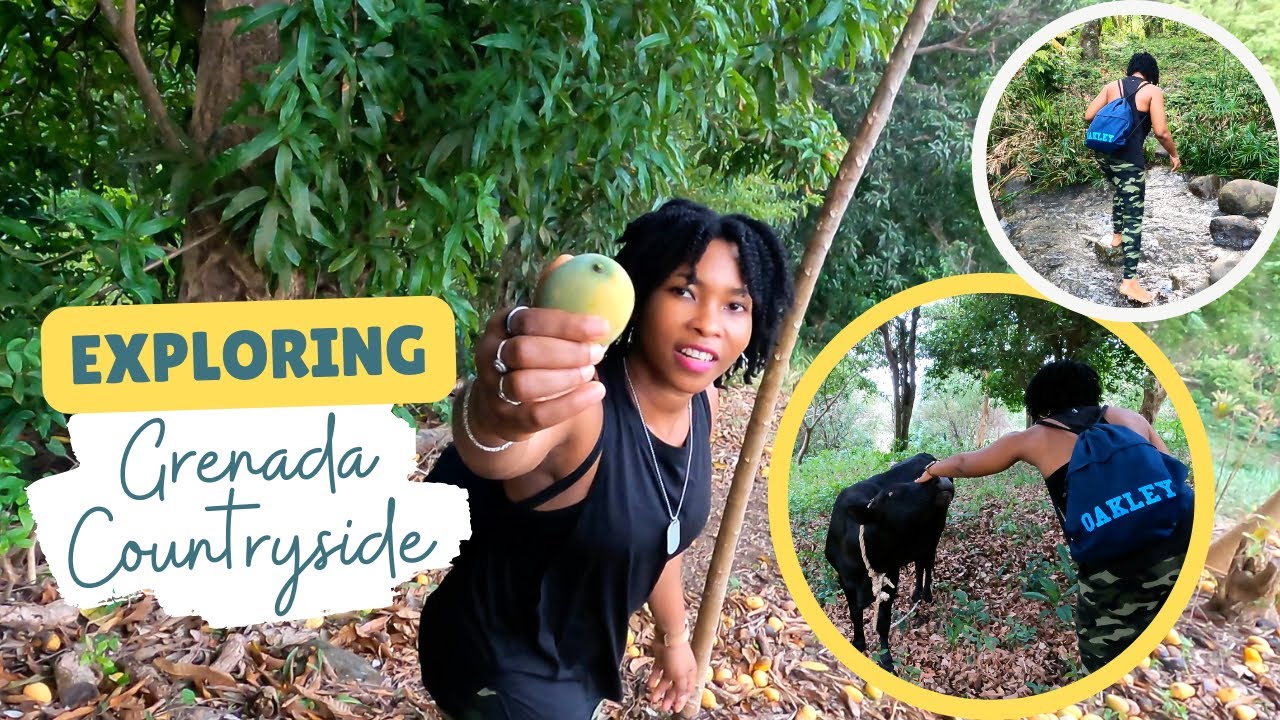 My First Time Petting a Cow! | Mango Season in Grenada | Exploring Grenada's Countryside!