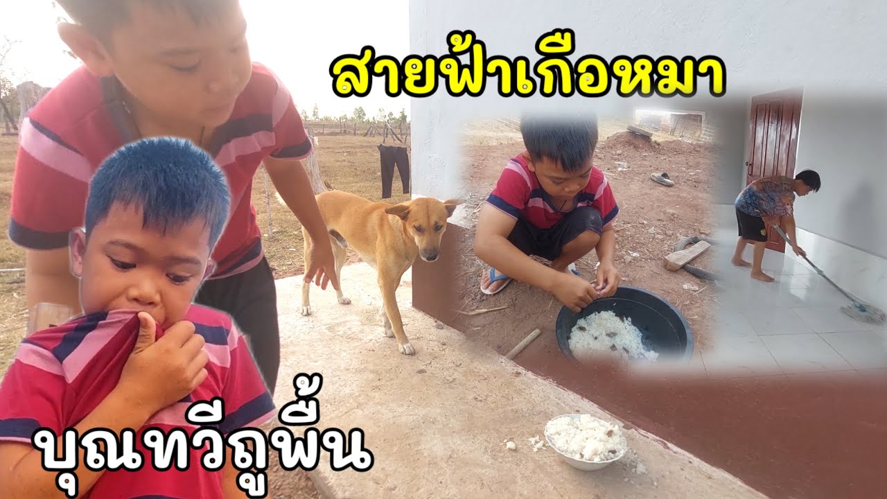 2อ้ายน้องสายฟ้าบุณทวีทำงานแเช้าขยันมาก #บ่าวบ่างbangchannel 