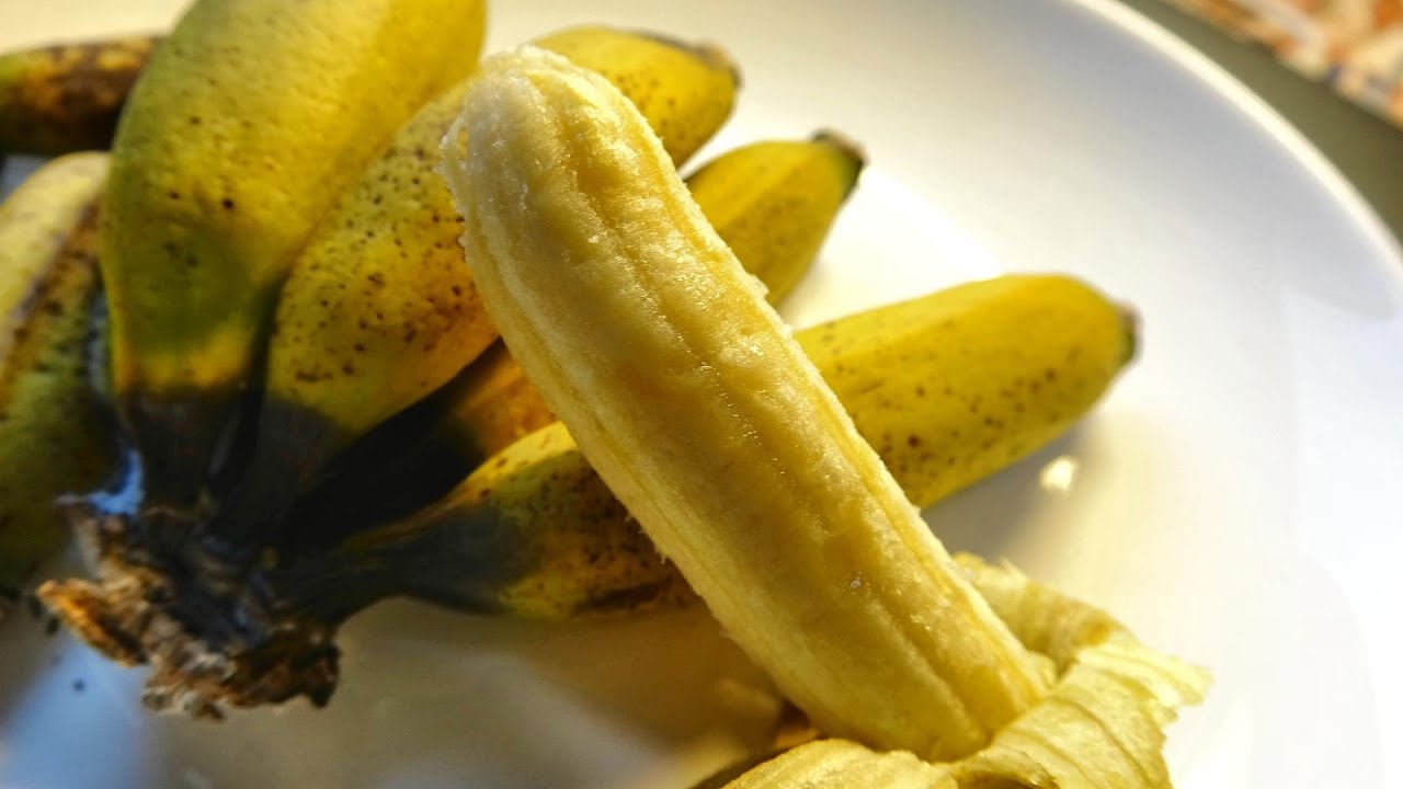 愛知県でバナナに挑戦！　初めてのドワーフモンキーバナナの収穫と試食・親株の切除  First banana harvest and tasting