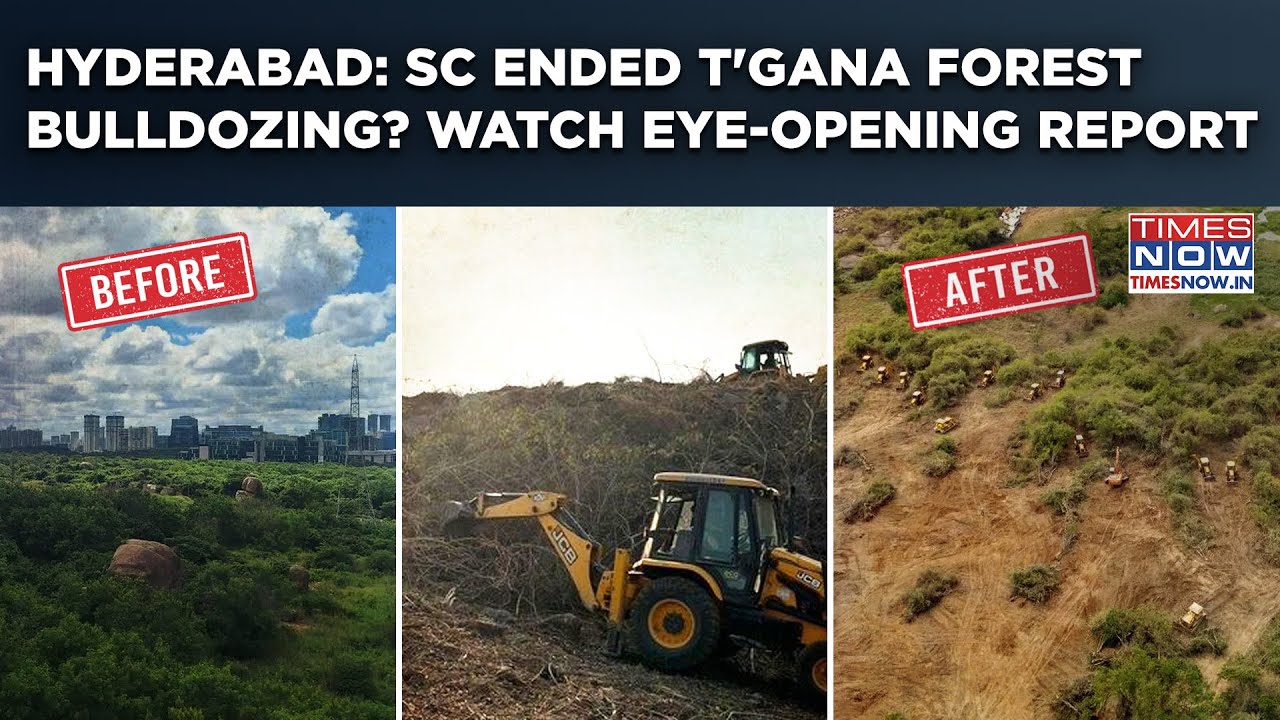 Hyderabad: Watch Shocking Kancha Gachibowli Report After SC Stopped Reddy Govt's Forest Bulldozing