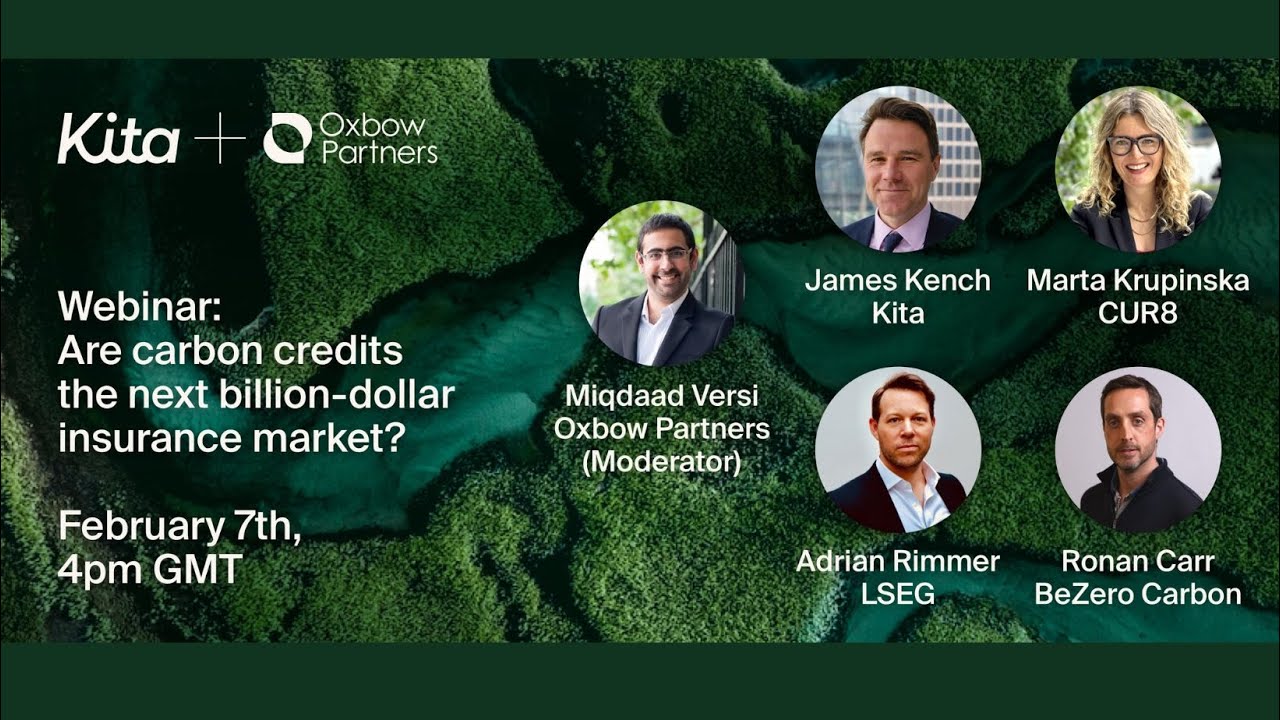 Gross Written Carbon: Are Carbon Credits the Next Billion Dollar Insurance Market?