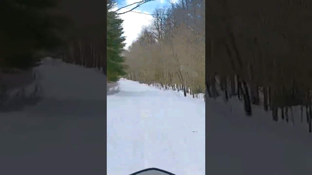 Pro S 800 Switchback 137 #suckin gas hauling ass