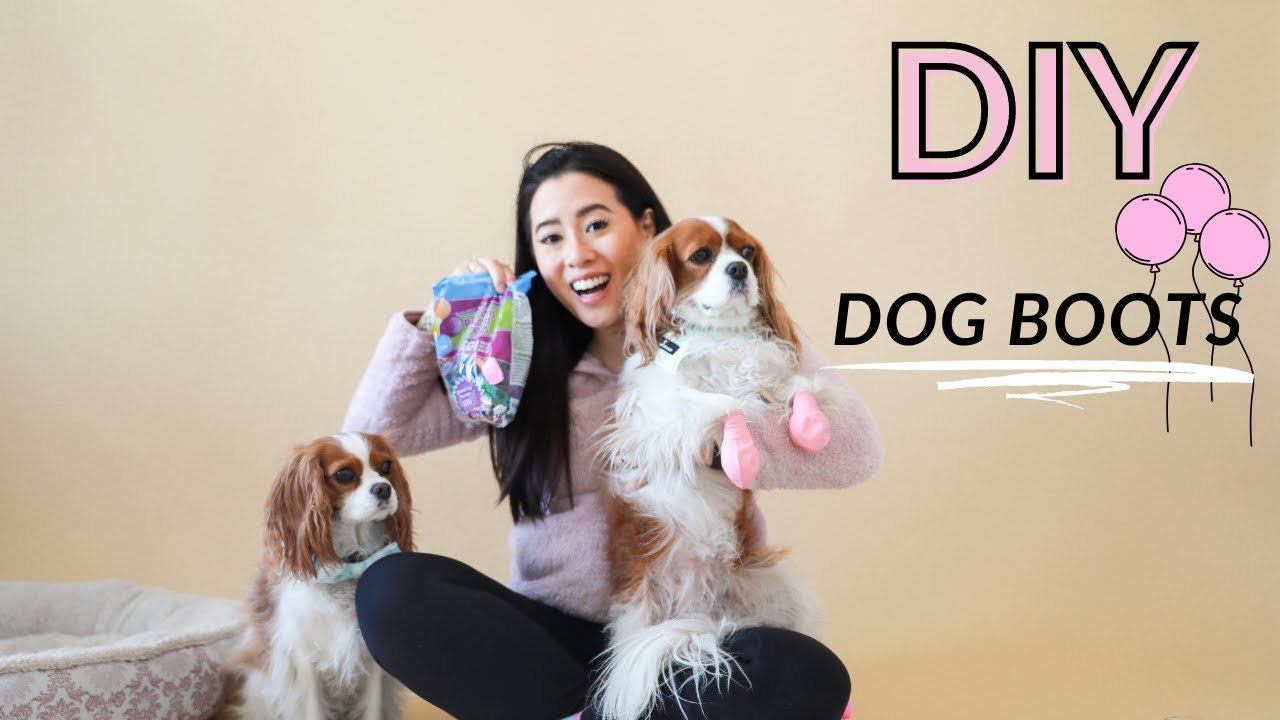 DOG BOOTS BALLOON HACK! Easy DIY Dog Boots
