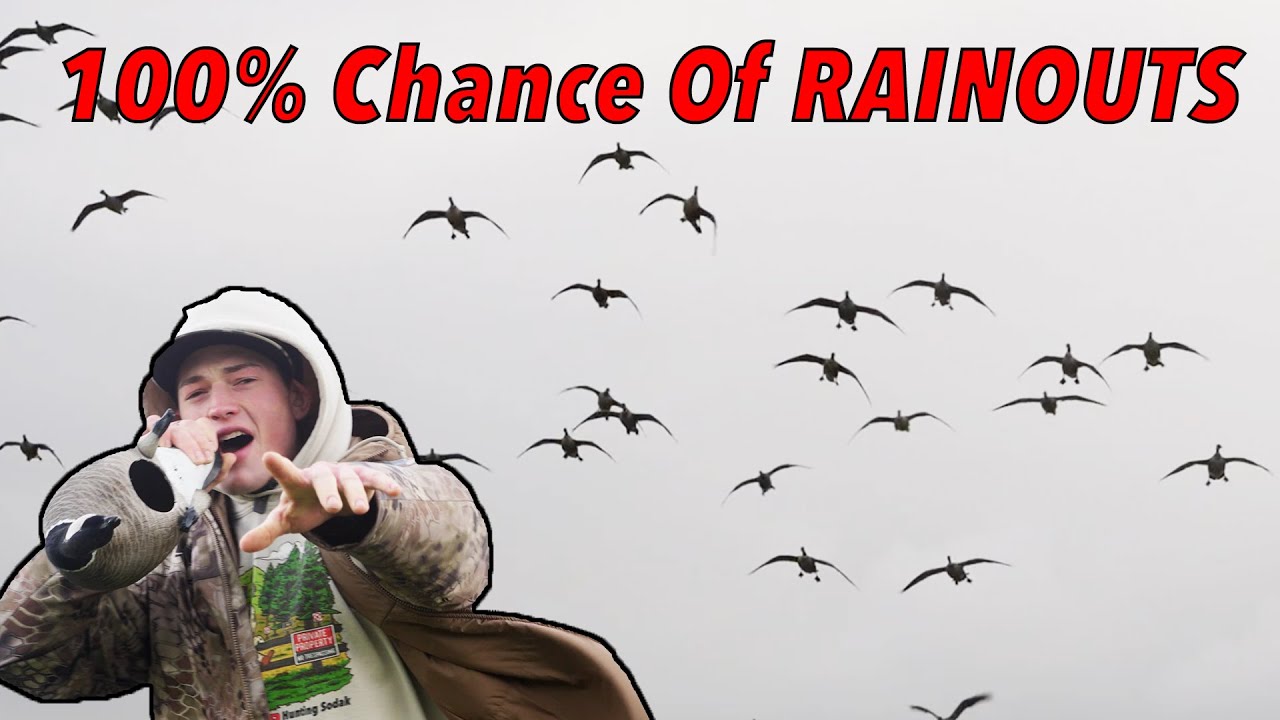 Hunting Aleutian Geese In California!! (not funny)