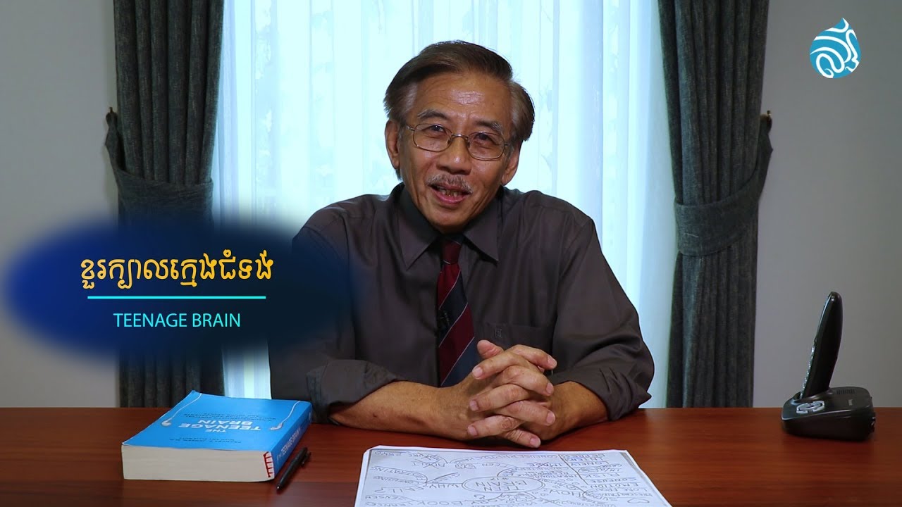 ខួរក្បាលក្មេងជំទង់ (Teenage Brain)
