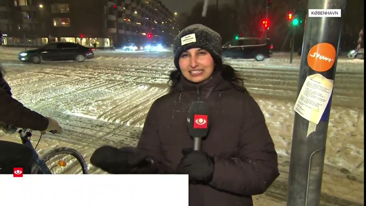 Snestorm Over Danmark| 5. Februar 2026
