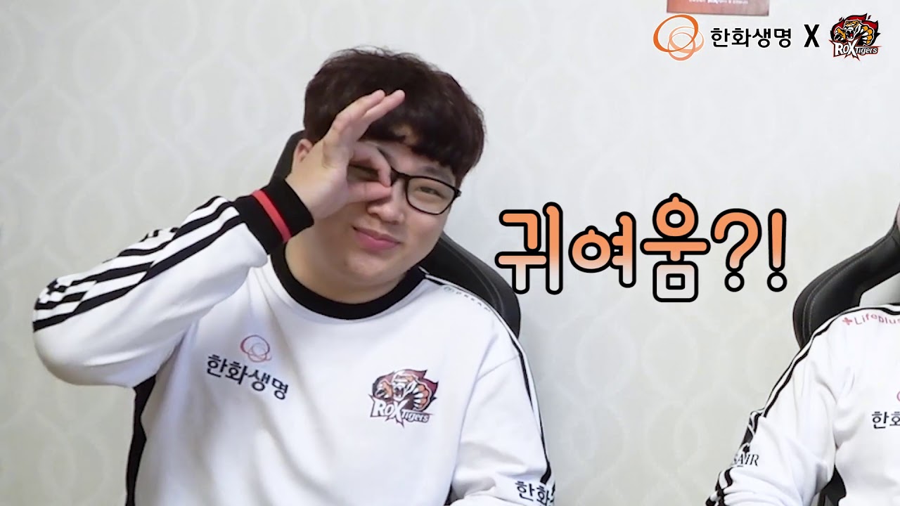 [ROXTigers] 한화생명과 함께한 선수들 인터뷰 영상!