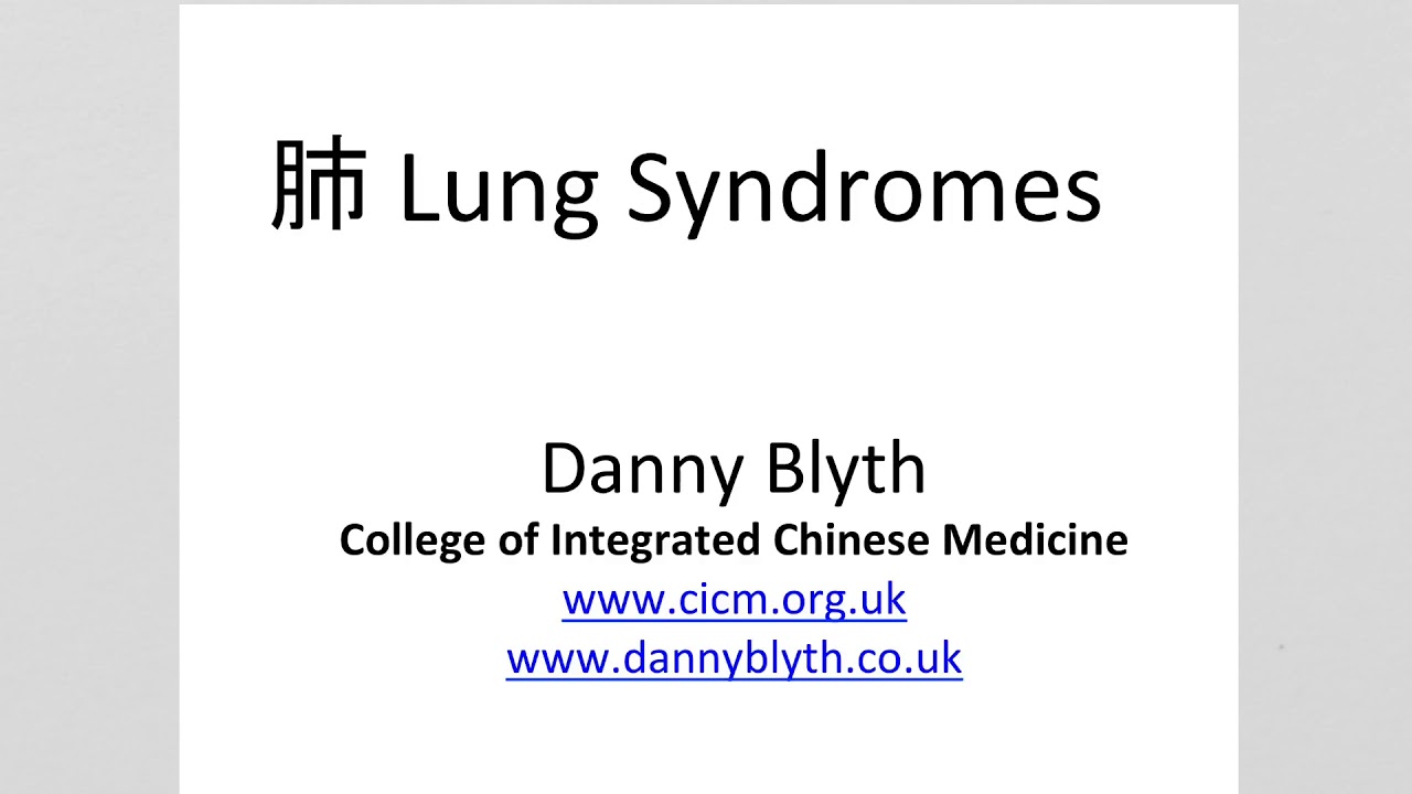 Lung Syndromes in Traditional Chinese Medicine - Danny Blyth