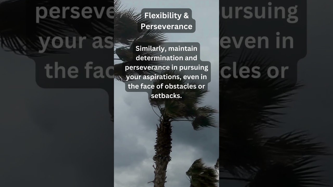 Flexible like the Bamboo - #lessons #motivational #animalwisdom #shorts #youtubeshorts #short #cat