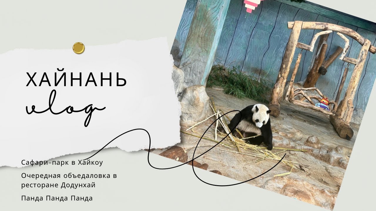 Хайнань 3. Июль 2024. Сафари-Парк Дуньшань в Хайкоу. Стоит ли ехать?