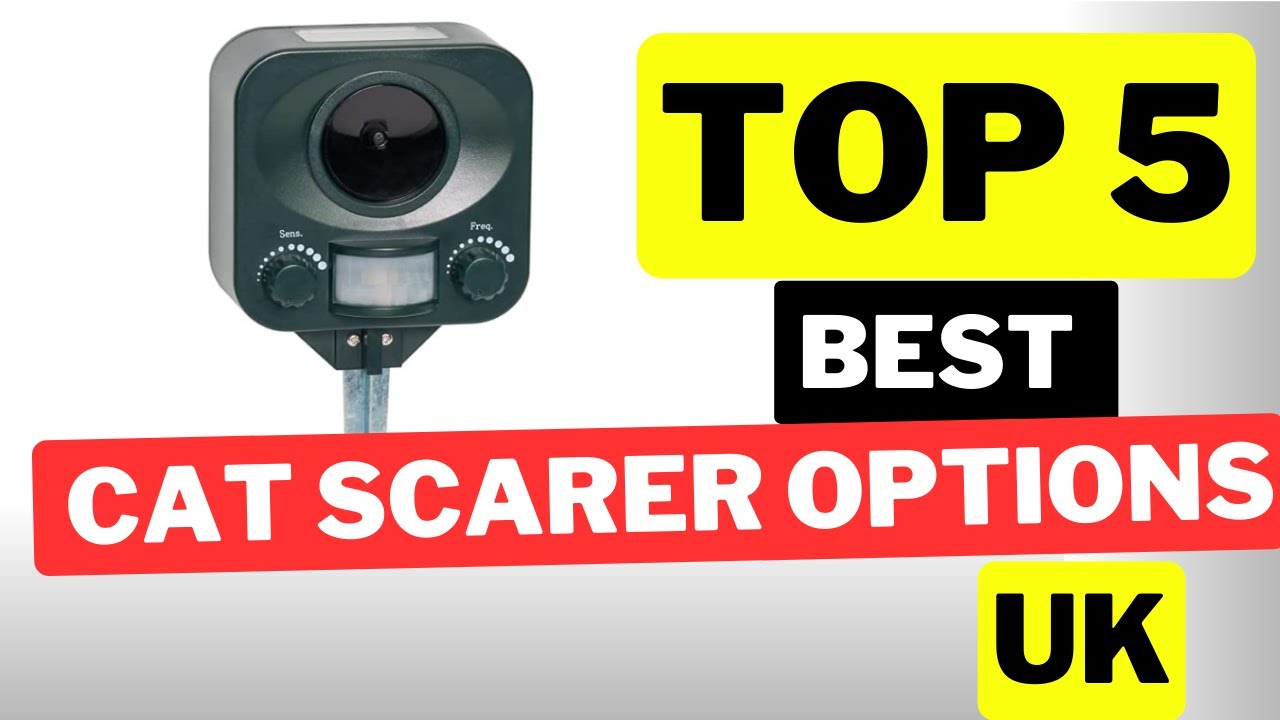 The 5 Best Cat Scarer Options 2023 UK