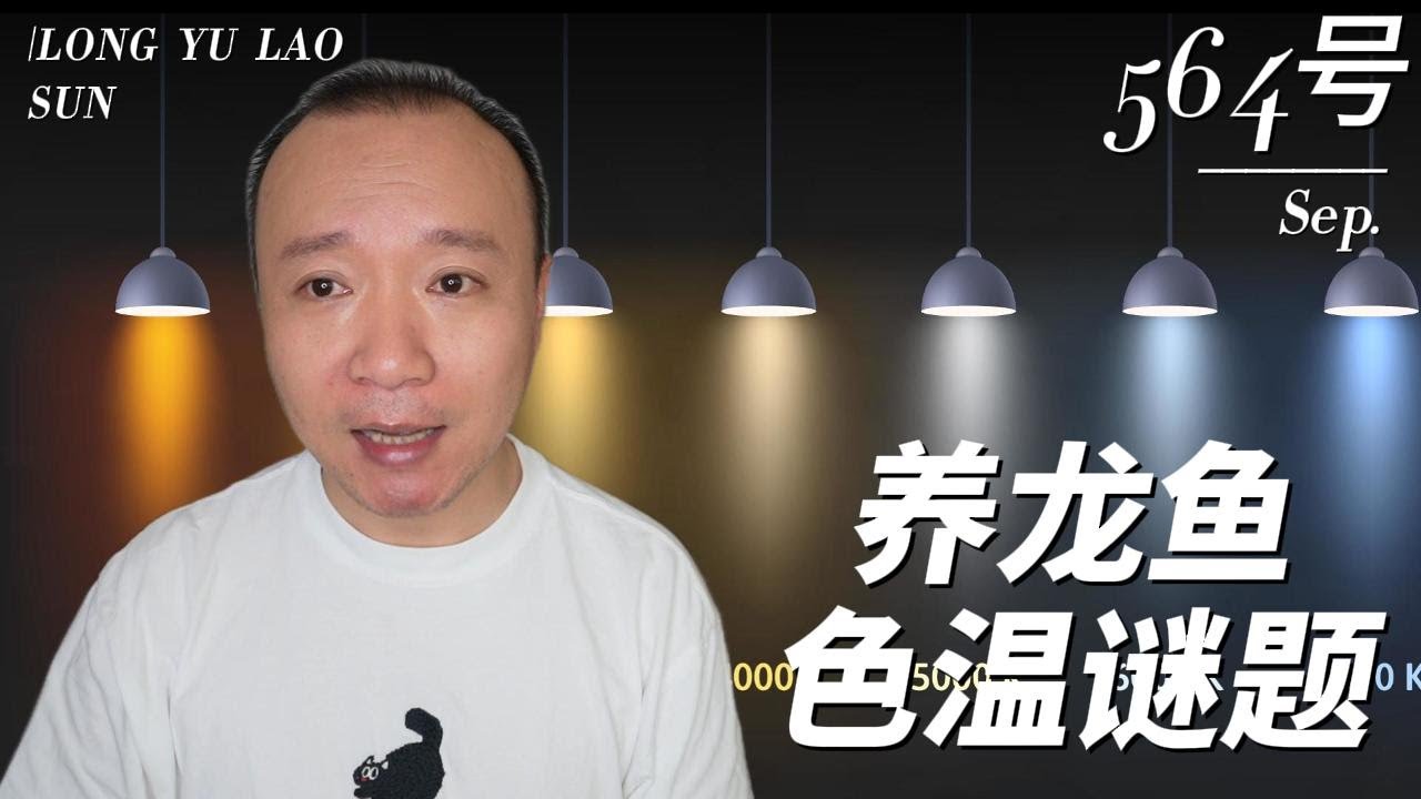#564 饲养龙鱼的用灯之谜#知识科普