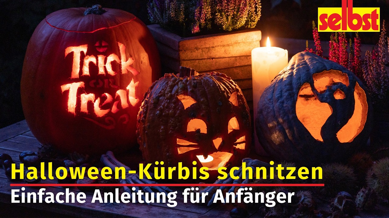 Halloween-K&uuml;rbis schnitzen: Die besten Tipps f&uuml;r Einsteiger
