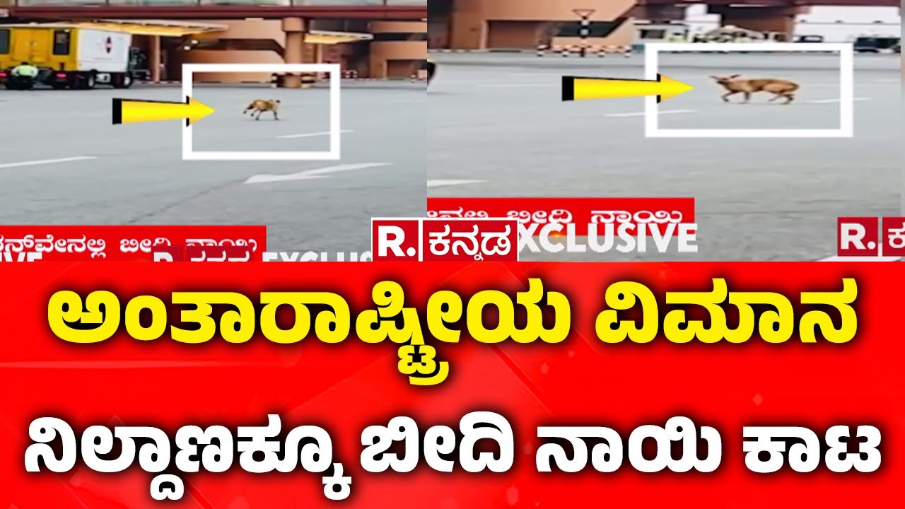 Security lapse at Kempegowda Airport in Bengaluru : ಬೆಂಗಳೂರು ಏರ್‌ಪೋರ್ಟ್‌ಗೂ ಬೀದಿ ನಾಯಿ ಕಾಟ