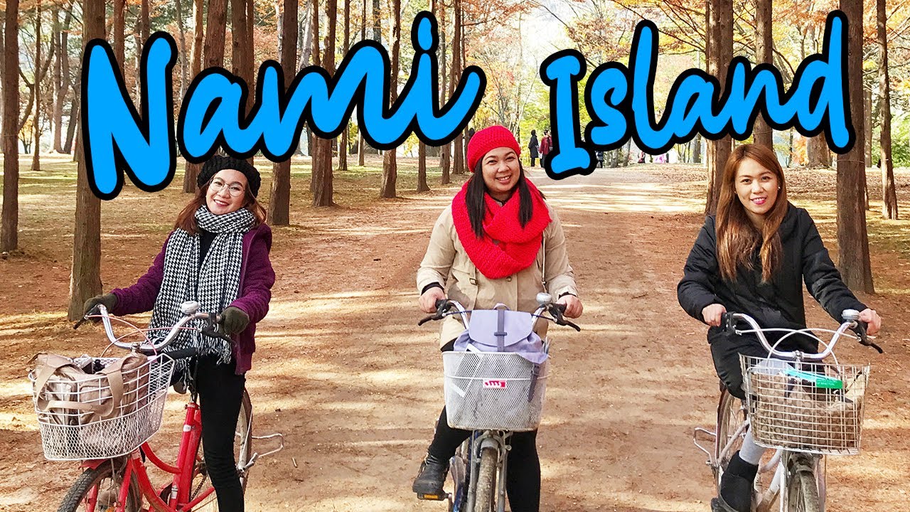 How to Go to Nami Island (DIY Seoul Vlog)