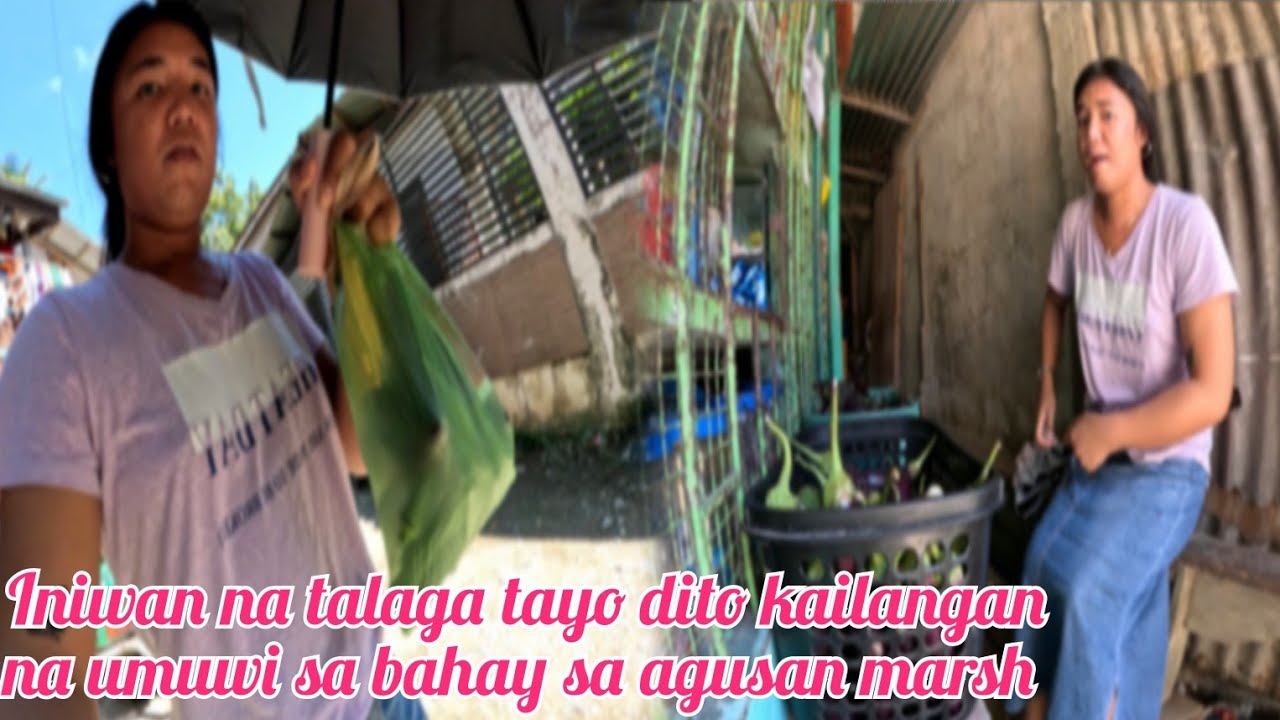 INIWAN NA TALAGA AKO MAG ISA DITO KAILANGAN NA UMUWI SA AGUSAN MARSH DAHIL DITO SIMPLE PROVINCE LIF