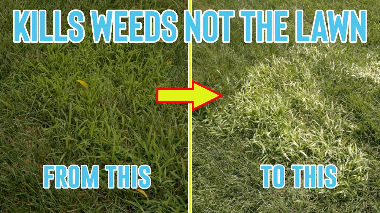A GREAT Summer Weed Control Combo!