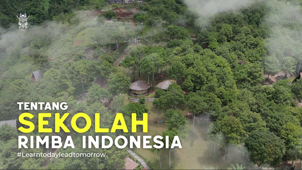 Tentang Sekolah Rimba Indonesia : Pendidikan Berwawasan Lingkungan dan Alam