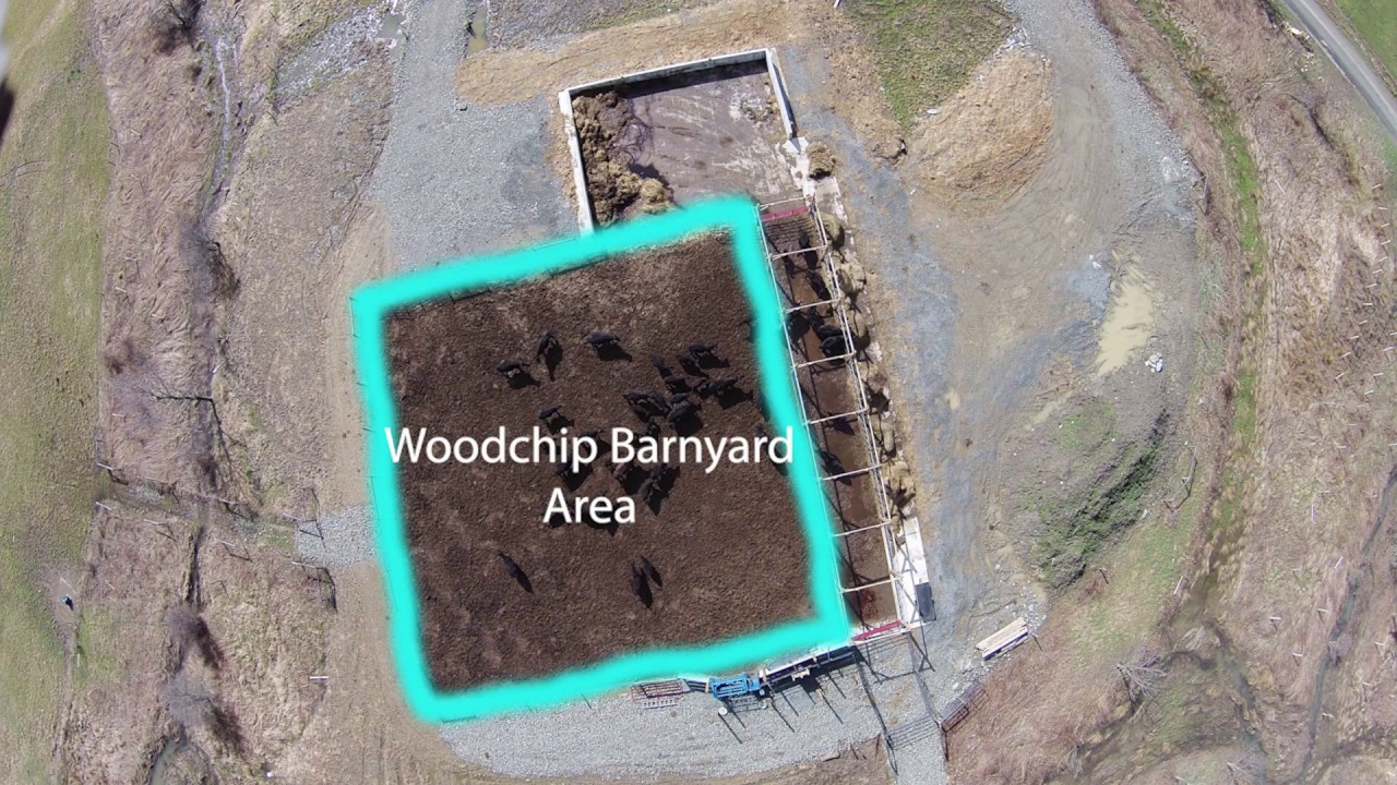 Wood Chip Barnyard - Complete Barnyard Overview