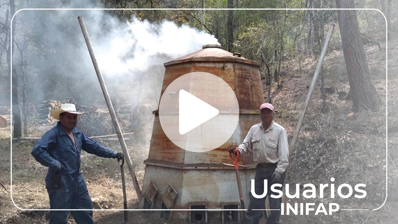 Encino en carb&oacute;n vegetal, transformaci&oacute;n de la madera | Usuarios INIFAP