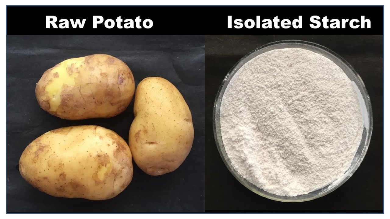 Isolation of Starch from Potato | Starch from Potato | How to Extract Starch From Potato | ENGLISH
