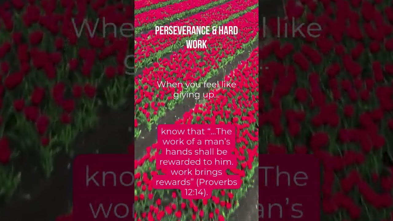 The Power of Perseverance & Hard Work