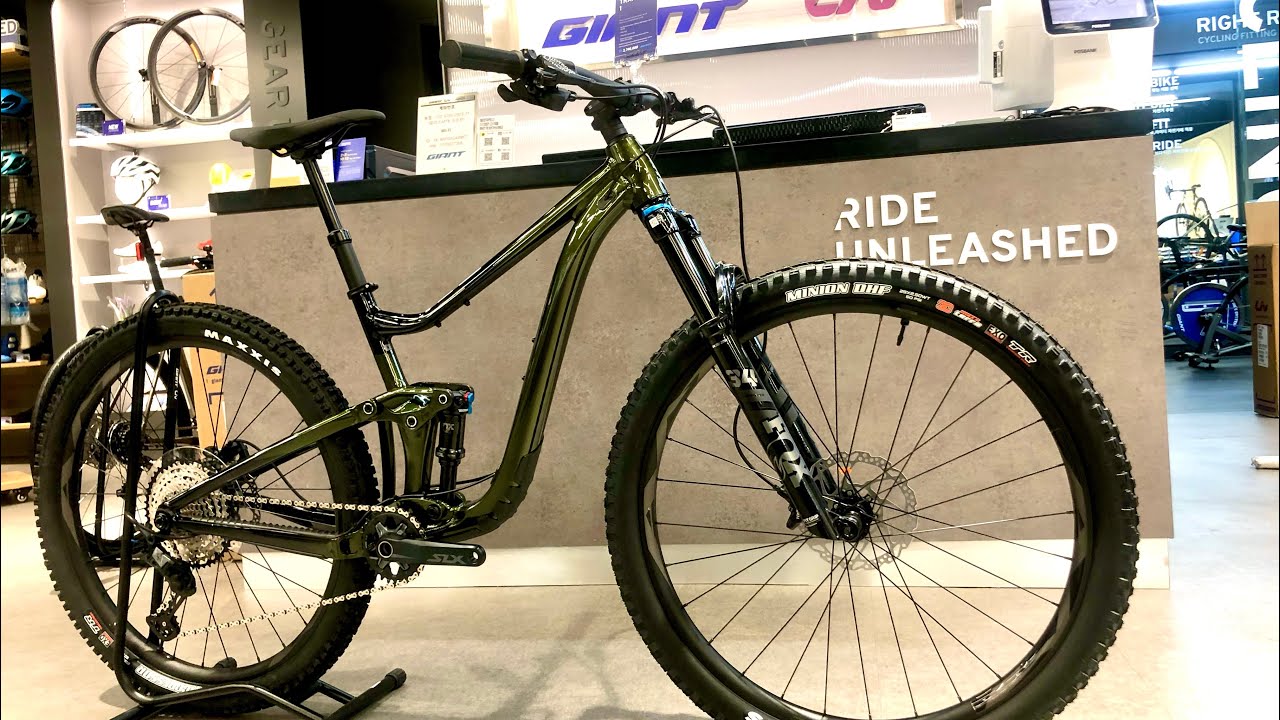 2022  GIANT TRANCE  29   1