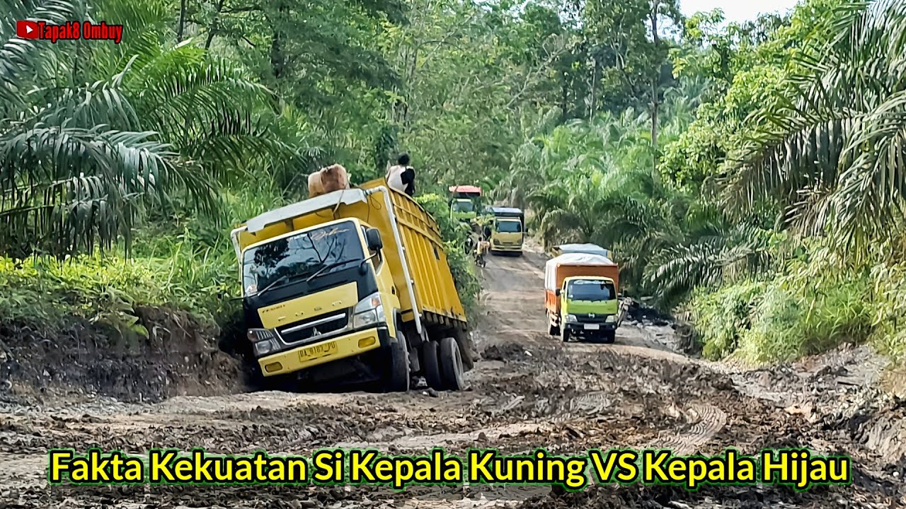 Hino Dutro Tak Ingin Kalah Melihat HDX Lolos Giliran Canter Euro4 Menjerit Minta Tolong