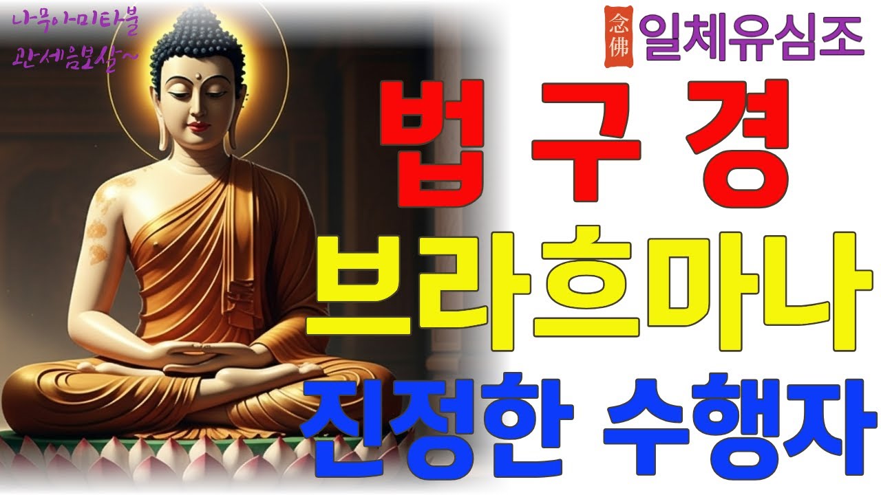 법구경 제22장 ~ 제26장  #법구경 #불교 #부처님말씀 #법구경해설 #불교경전