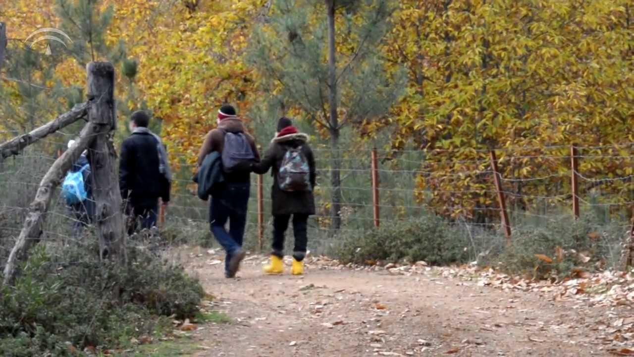 Senderismo en la Sierra de Aracena (Huelva)