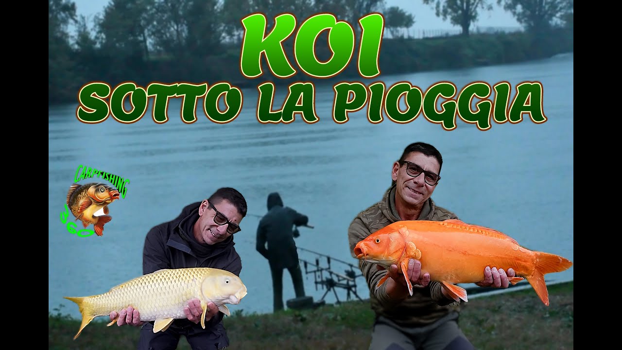 World Carp Lake - Postazione 9