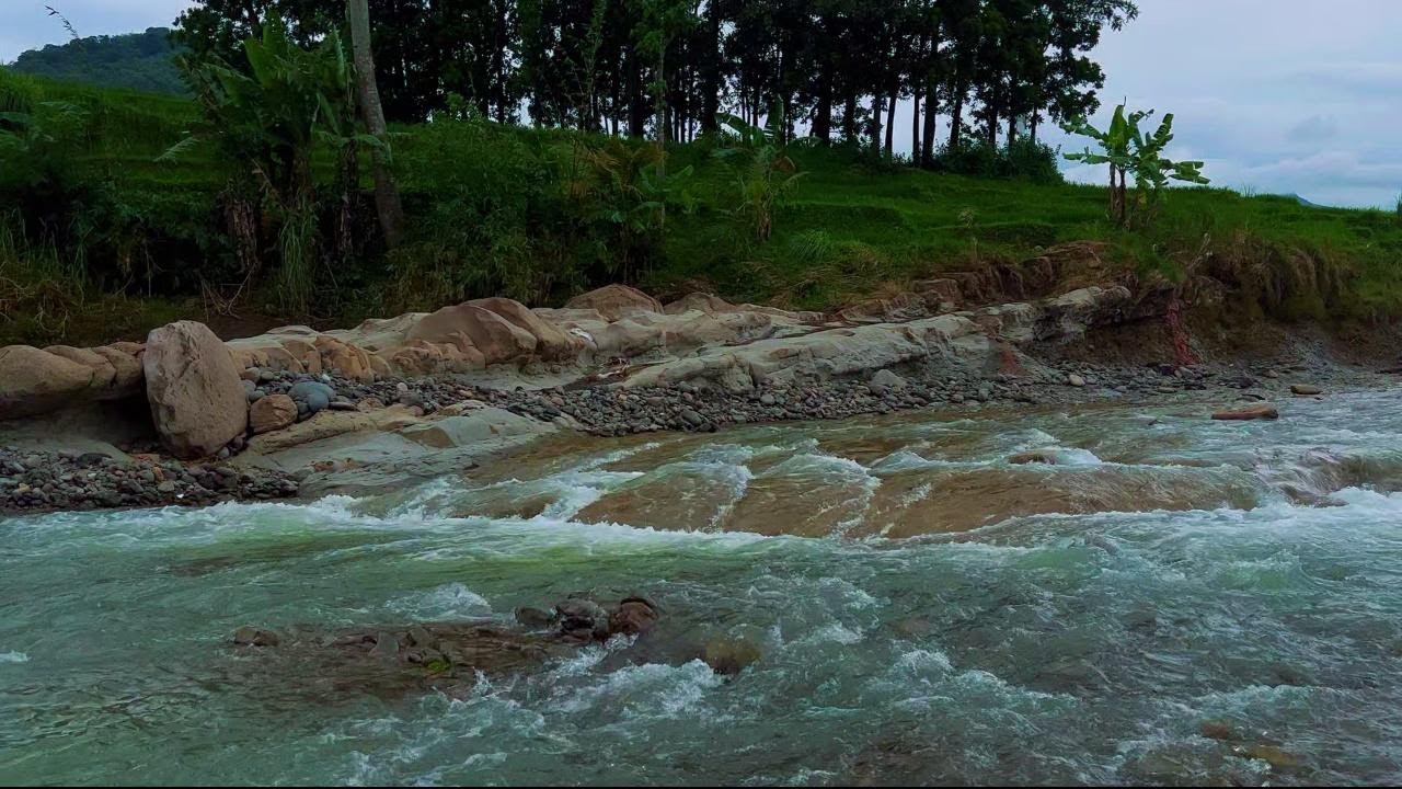 Mountain Stream Flowing 24/7. Waterfall Sounds. River Sounds. Flowing Water Sounds for Sleep, Relax.