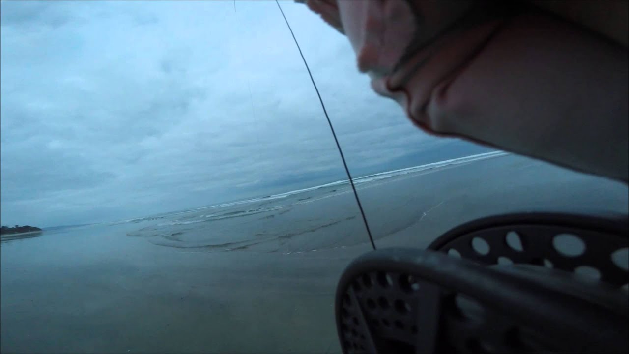 Saltwater Fly fishing San Diego