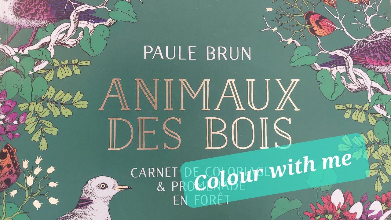 Colour with me in Paule Brun's 'Animaux Des Bois' (Woodland Animals) Fox and Bullfinches